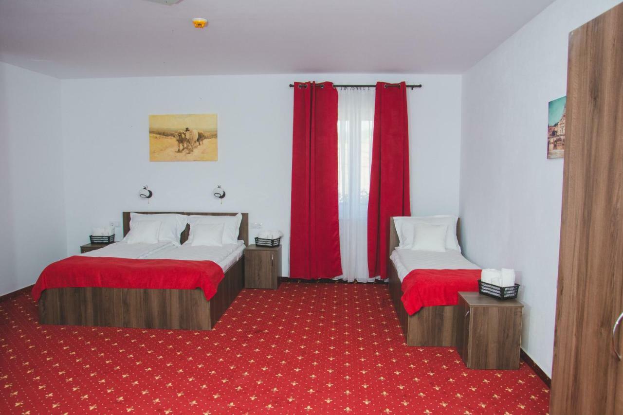 Pensiunea Iliada Sibiu Exteriér fotografie