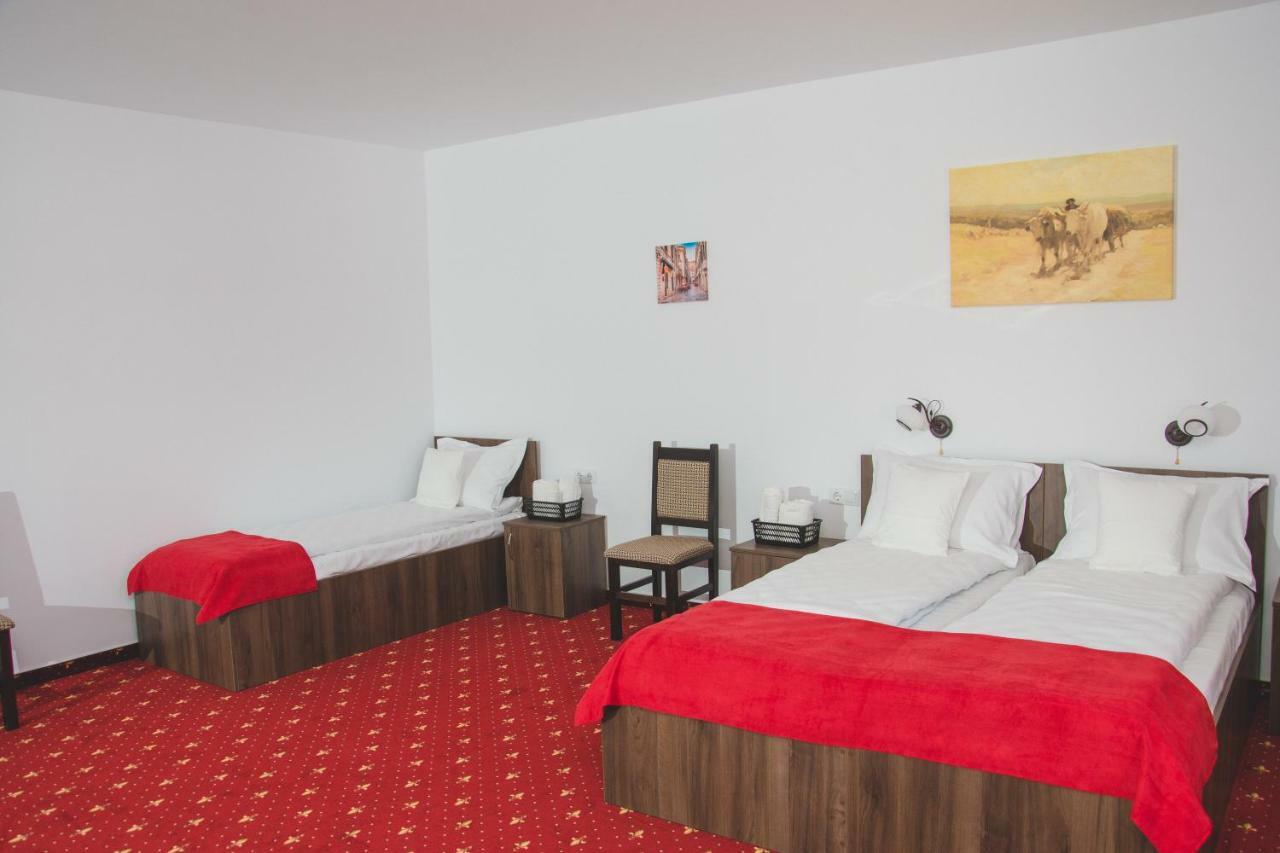 Pensiunea Iliada Sibiu Exteriér fotografie
