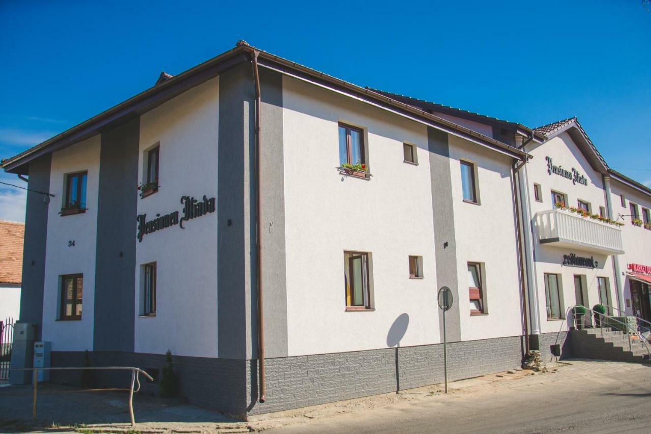 Pensiunea Iliada Sibiu Exteriér fotografie