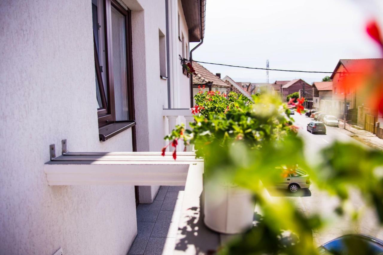 Pensiunea Iliada Sibiu Exteriér fotografie